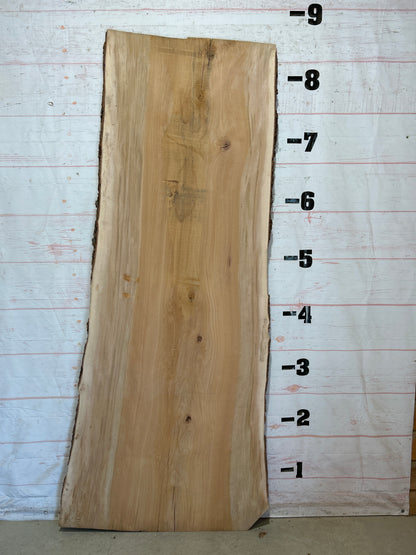 Live Edge Sycamore Sku#28458-50