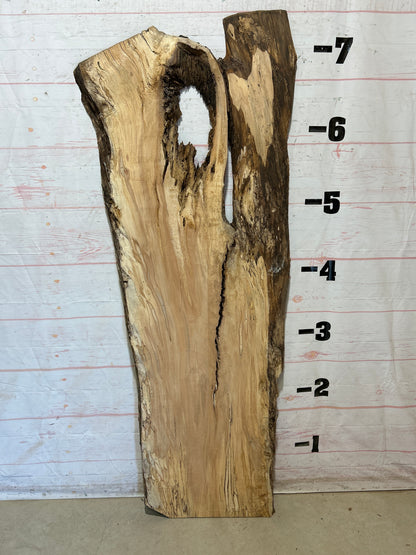 Live Edge Maple Sku#28266B-36