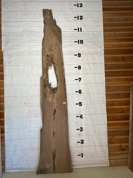 Live Edge Walnut Sku#28915S-51
