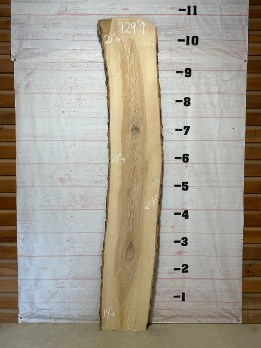 Live Edge Ash Sku#28307-40