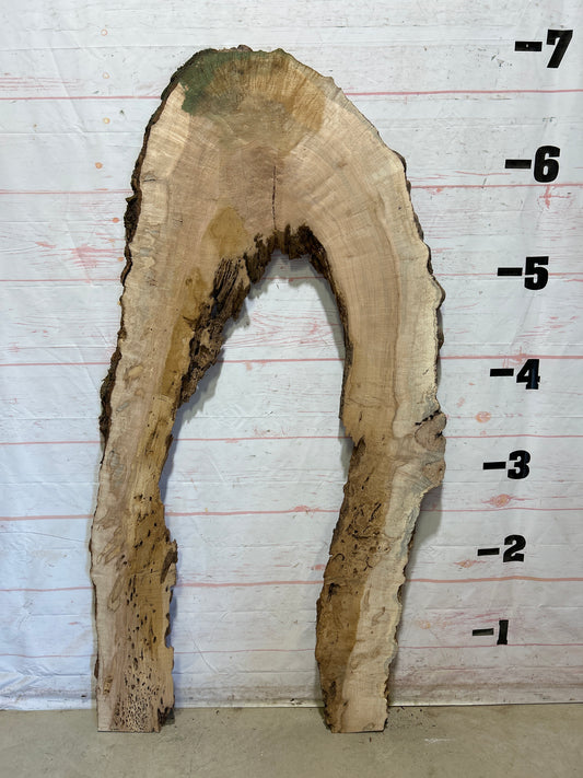 Live Edge Ambrosia Maple Sku#27257E-28