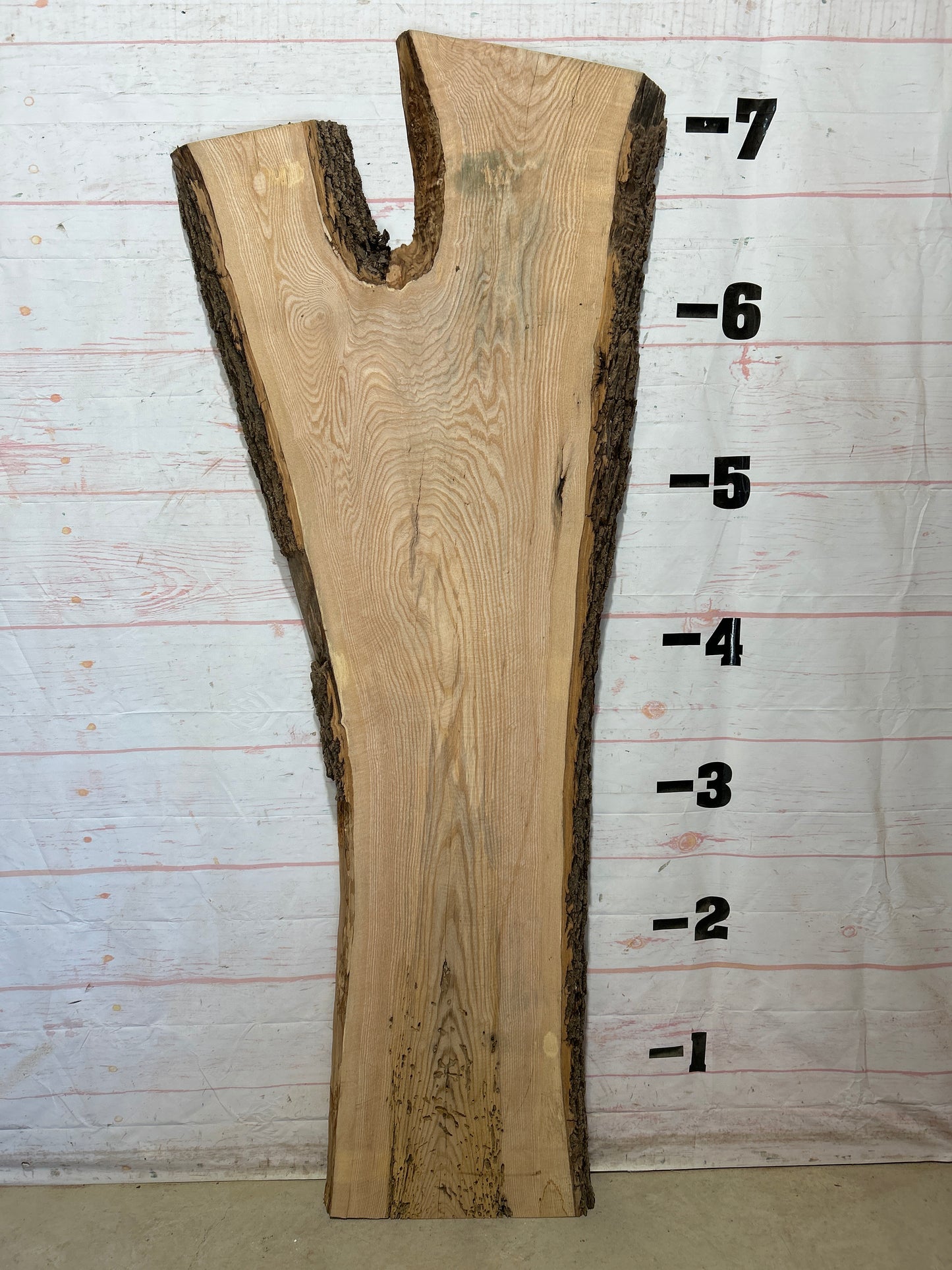 Live Edge Ash Sku#28507-40