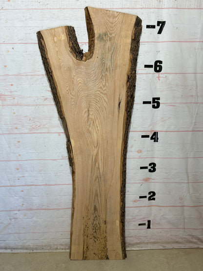 Live Edge Ash Sku#28507-40