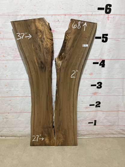 Live Edge English Walnut Sku#28933N-30