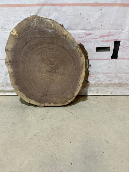 Live Edge Walnut Cookie Sku#28151M