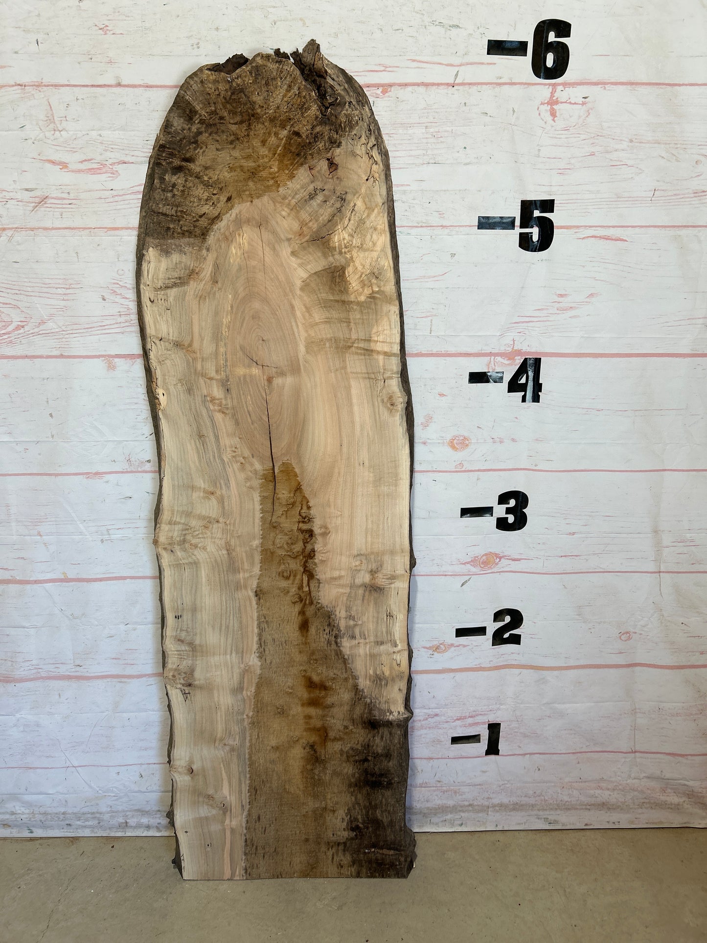 Live Edge Maple Sku#28498E-20