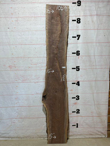 Live Edge Walnut Sku#28534M-19