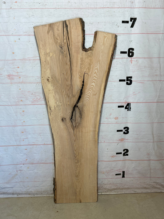 Live Edge Ash Sku#28510-32