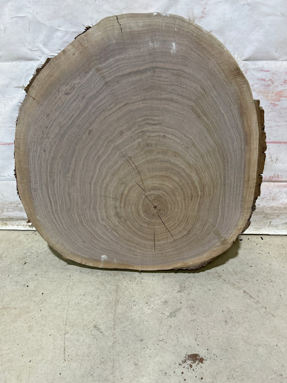 Live Edge Walnut Cookie Sku#28169M