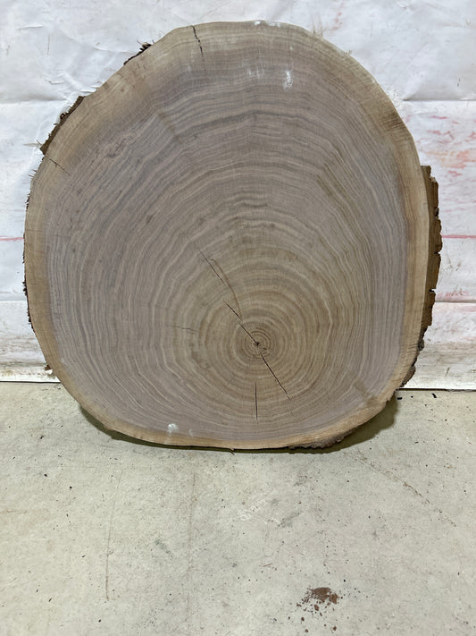 Live Edge Walnut Cookie Sku#28169M