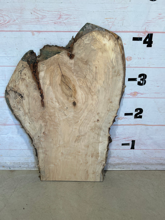 Live Edge Maple Sku#28431E-23