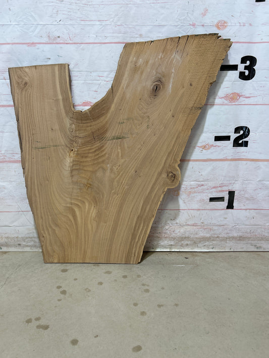 Live Edge Elm Sku#27501M-14