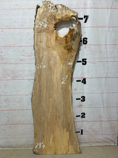 Live Edge Maple Sku#27382B-32