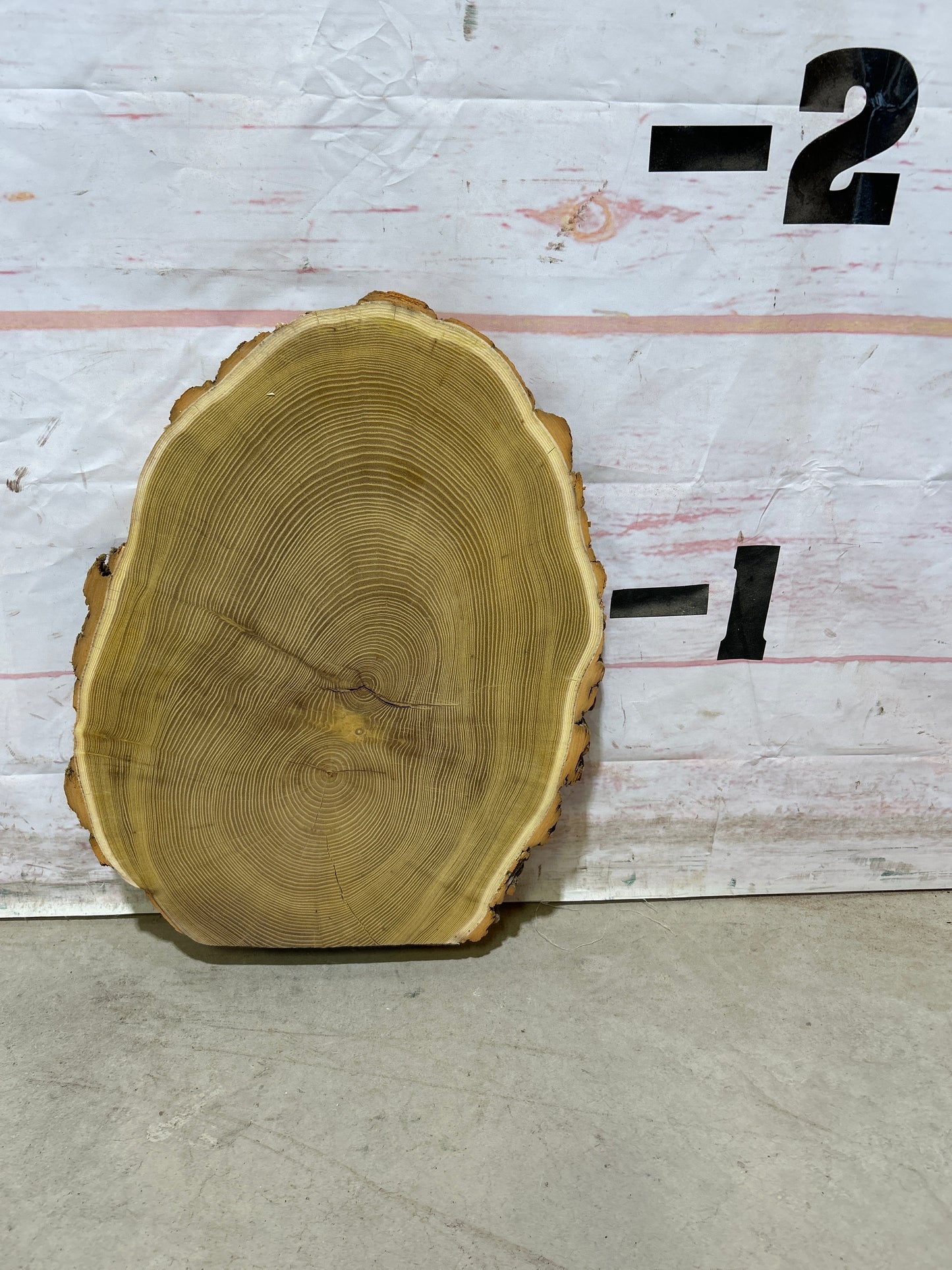 Live Edge Osage Orange Cookie Sku#28452M