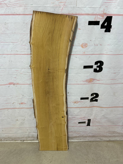 Live Edge Mulberry Sku#28367M-5