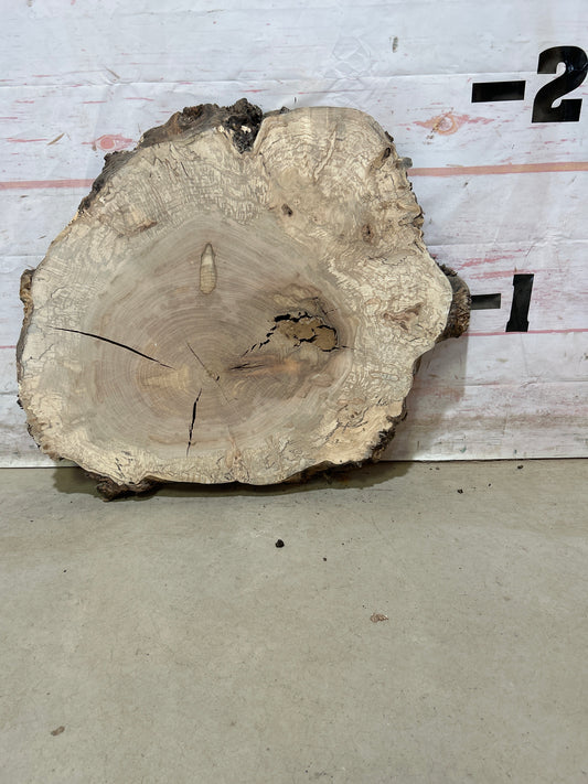 Live Edge Maple Cookie Sku#27887M