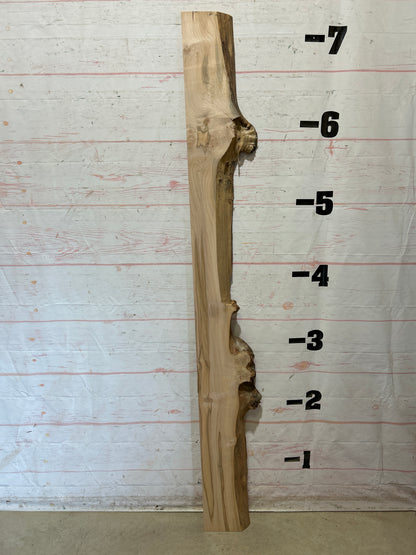 Live Edge Maple Sku#28791E-11