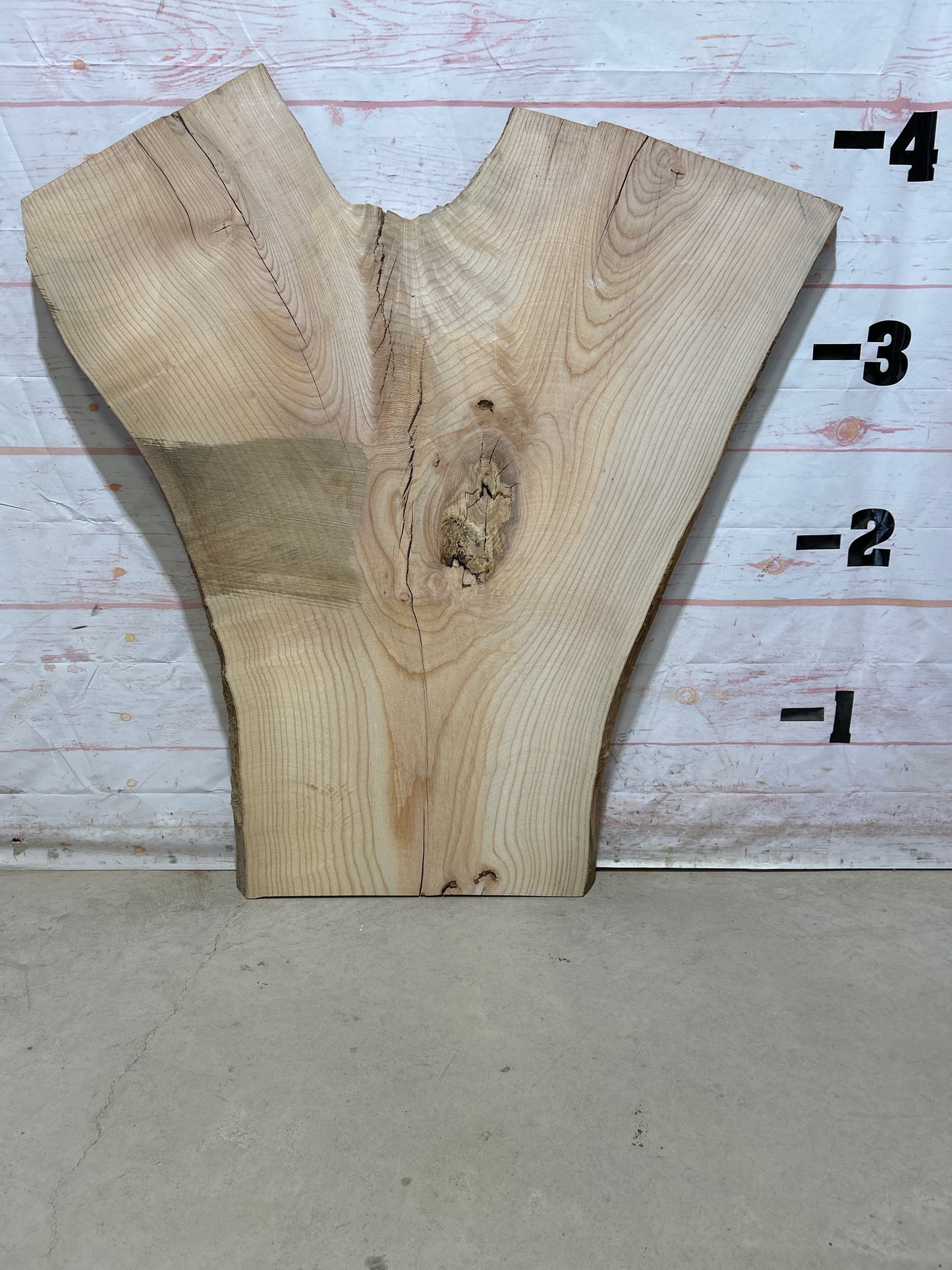 Live Edge Ash Sku#27279N-23