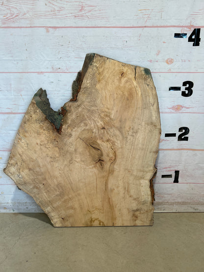 Live Edge Maple Sku#28430E-22