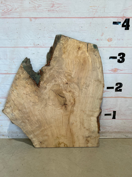 Live Edge Maple Sku#28430E-22