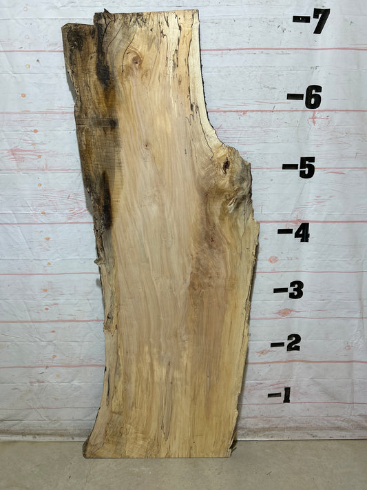 Live Edge Maple Sku#28311B-30