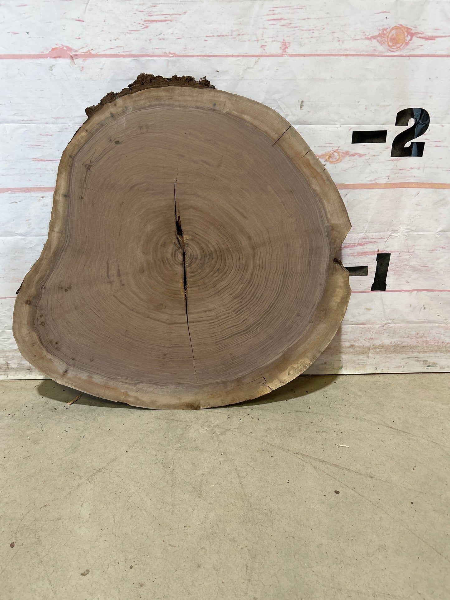Live Edge Walnut Cookie Sku#28450M