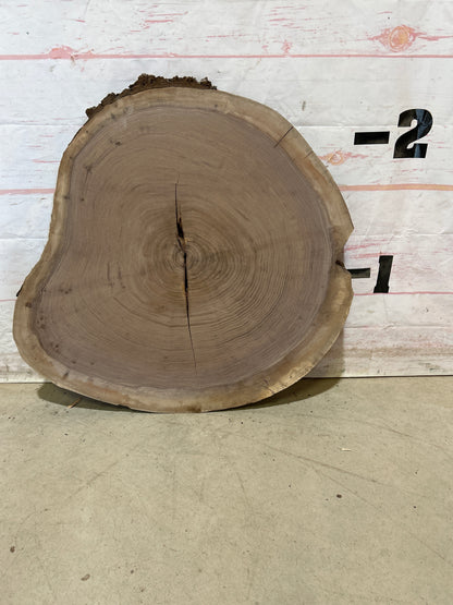 Live Edge Walnut Cookie Sku#28450M