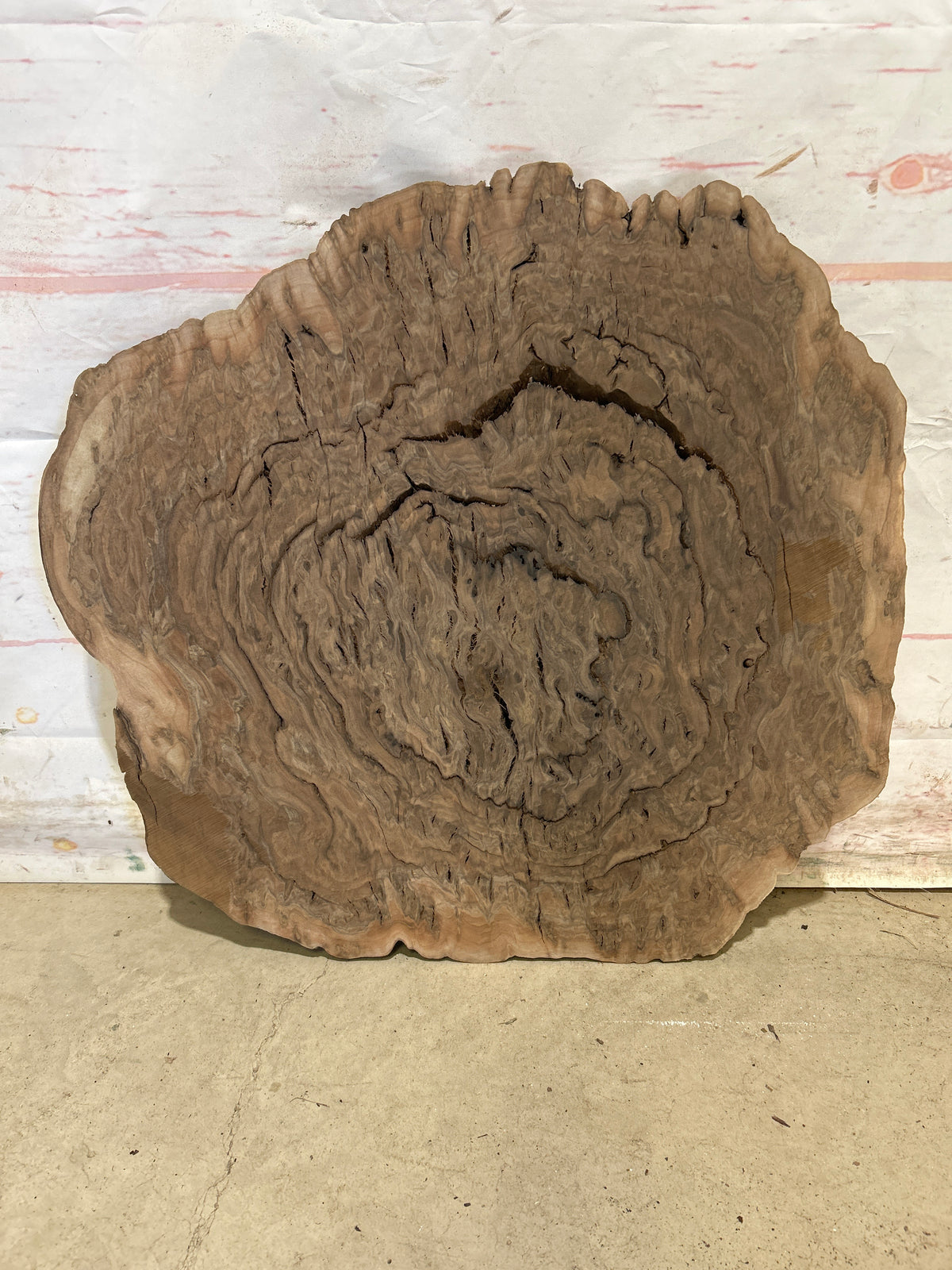 Live Edge Walnut Sku#28886M
