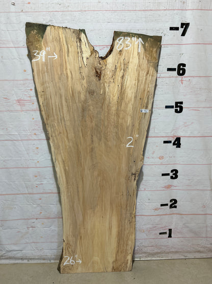 Live Edge Maple Sku#28318B-38