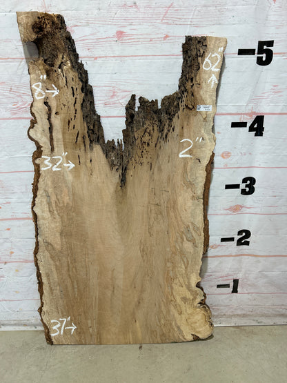 Live Edge Ambrosia Maple Sku#27259-20