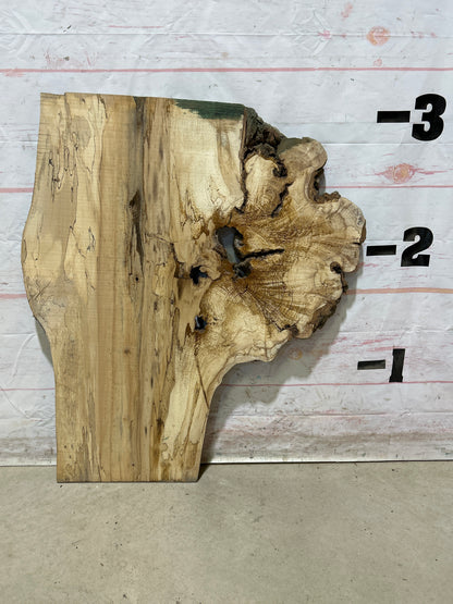 Live Edge Maple Sku#28090M-9