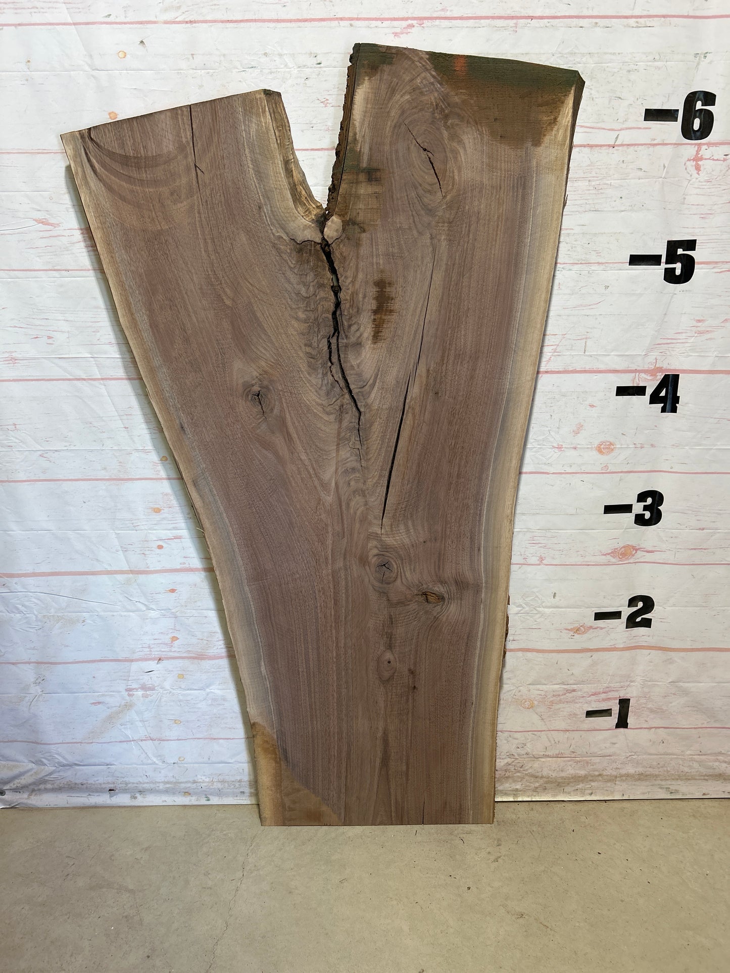 Live Edge Walnut Sku#28039-37