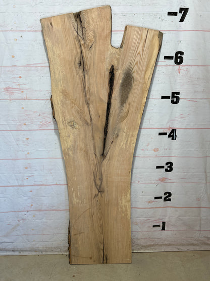 Live Edge Ash Sku#28509-33