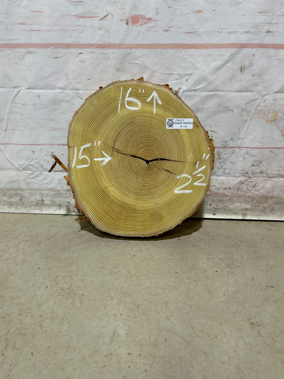Live Edge Osage Orange Sku#28829M