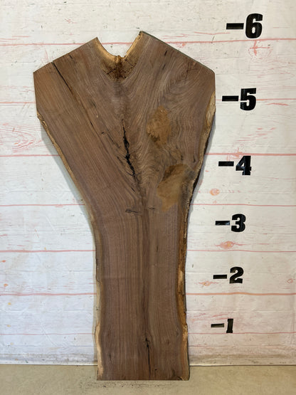 Live Edge Walnut Sku#27930G-25