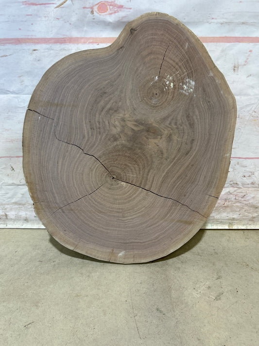 Live Edge Walnut Cookie Sku#28178M