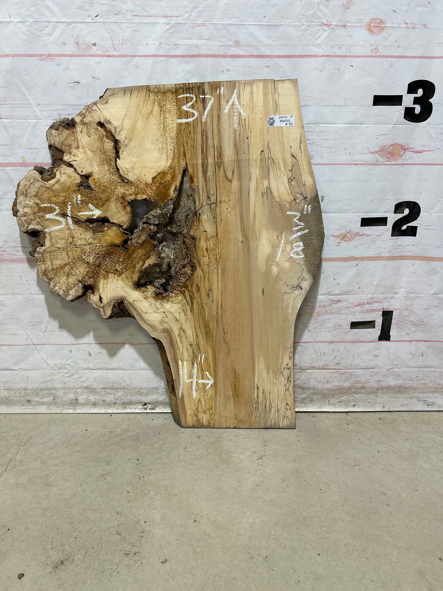 Live Edge Maple Sku#28090M-9