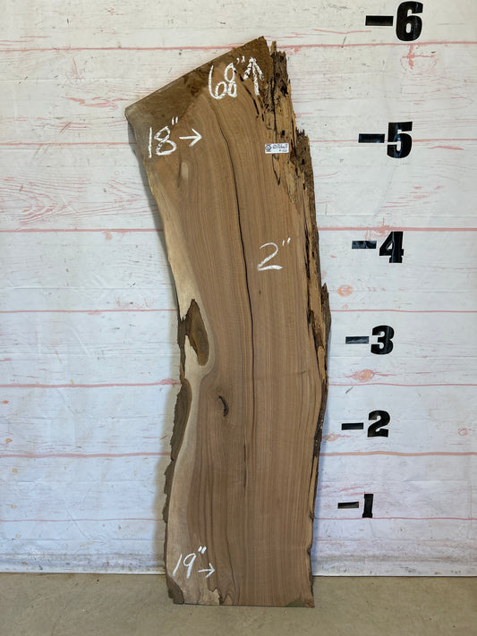 Live Edge Butternut Sku#26752-18