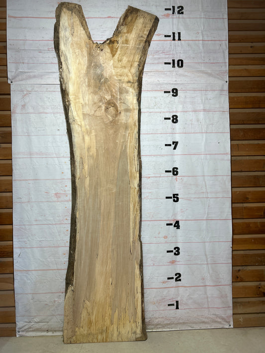 Live Edge Spalted Maple Sku#27304-78