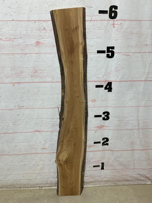 Live Edge Elm Sku#28934M-7