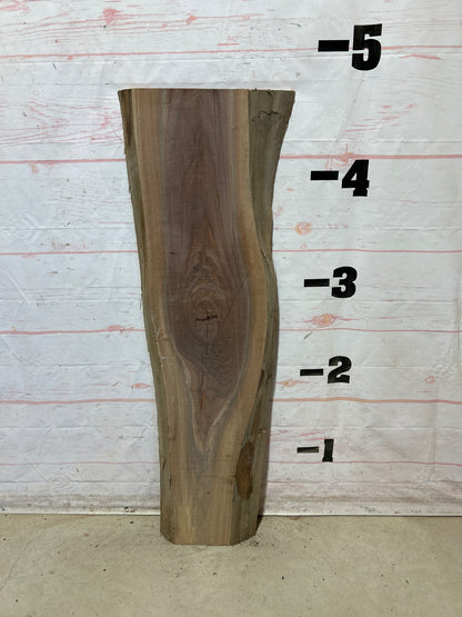 Live Edge Walnut Sku#28750G-12