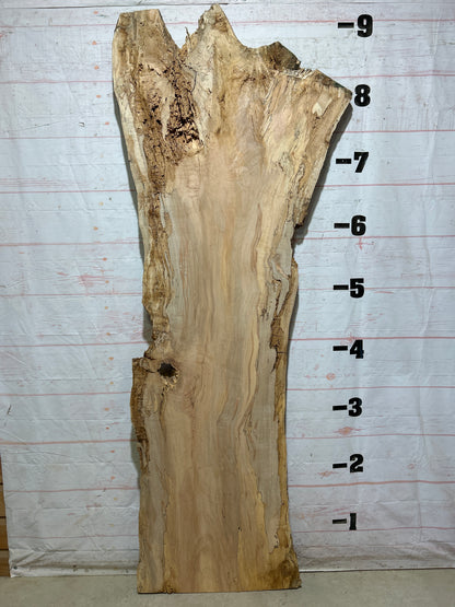 Live Edge Maple Sku#28095B-52