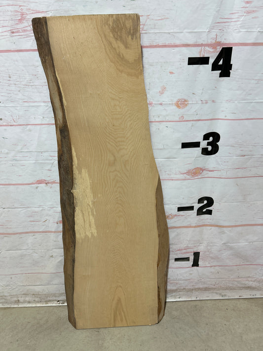 Live Edge Ash Sku#27275M-12