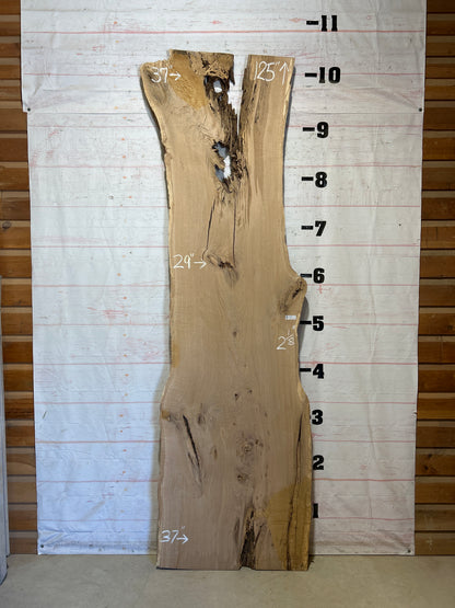 Live Edge White Oak Sku#28754-57