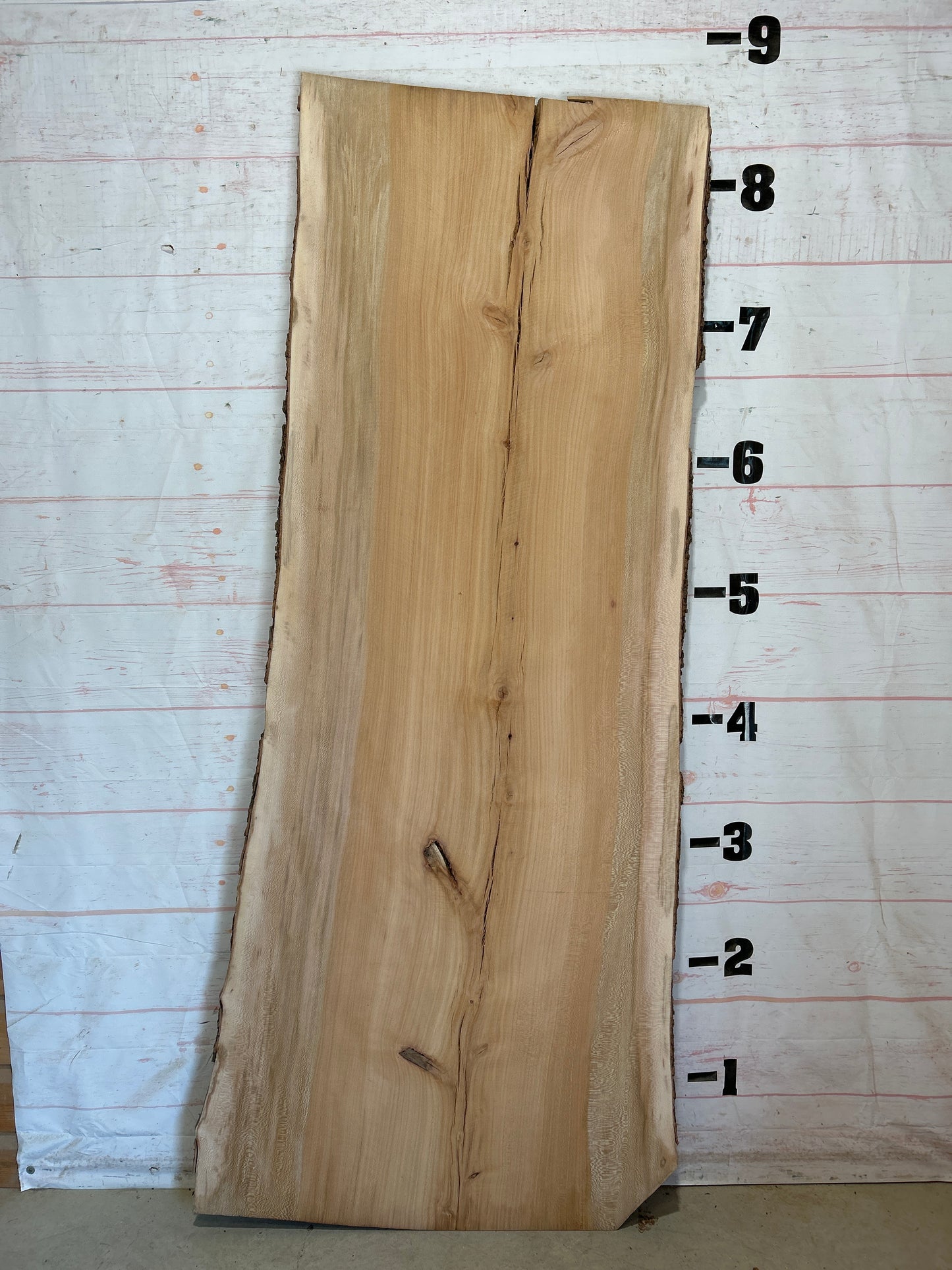 Live Edge Sycamore Sku#28459-57