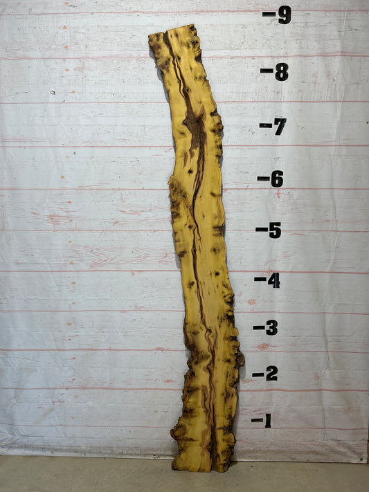Live Edge Osage Orange Sku#28295-14
