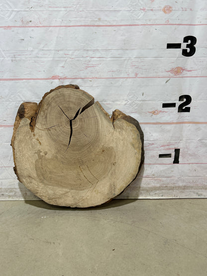 Live Edge White Oak Cookie Sku#28987M