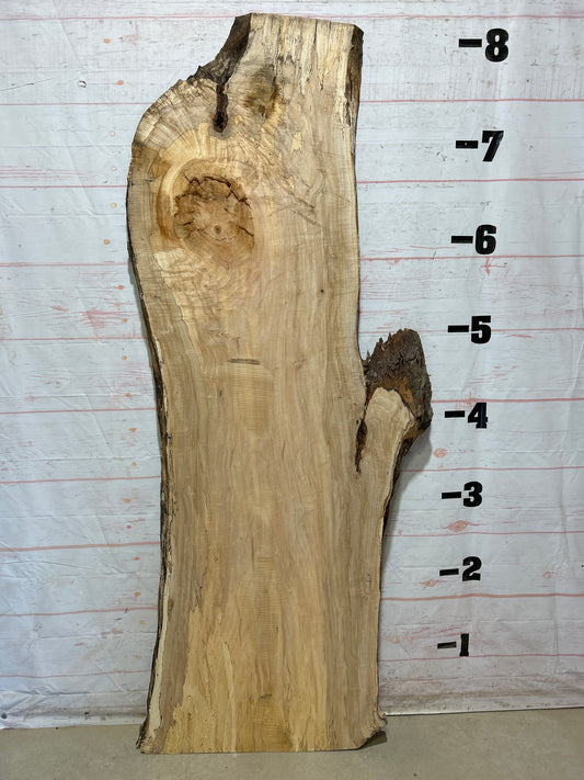Live Edge Maple Sku#27380B-41