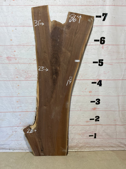 Live Edge Walnut Sku#27811-20