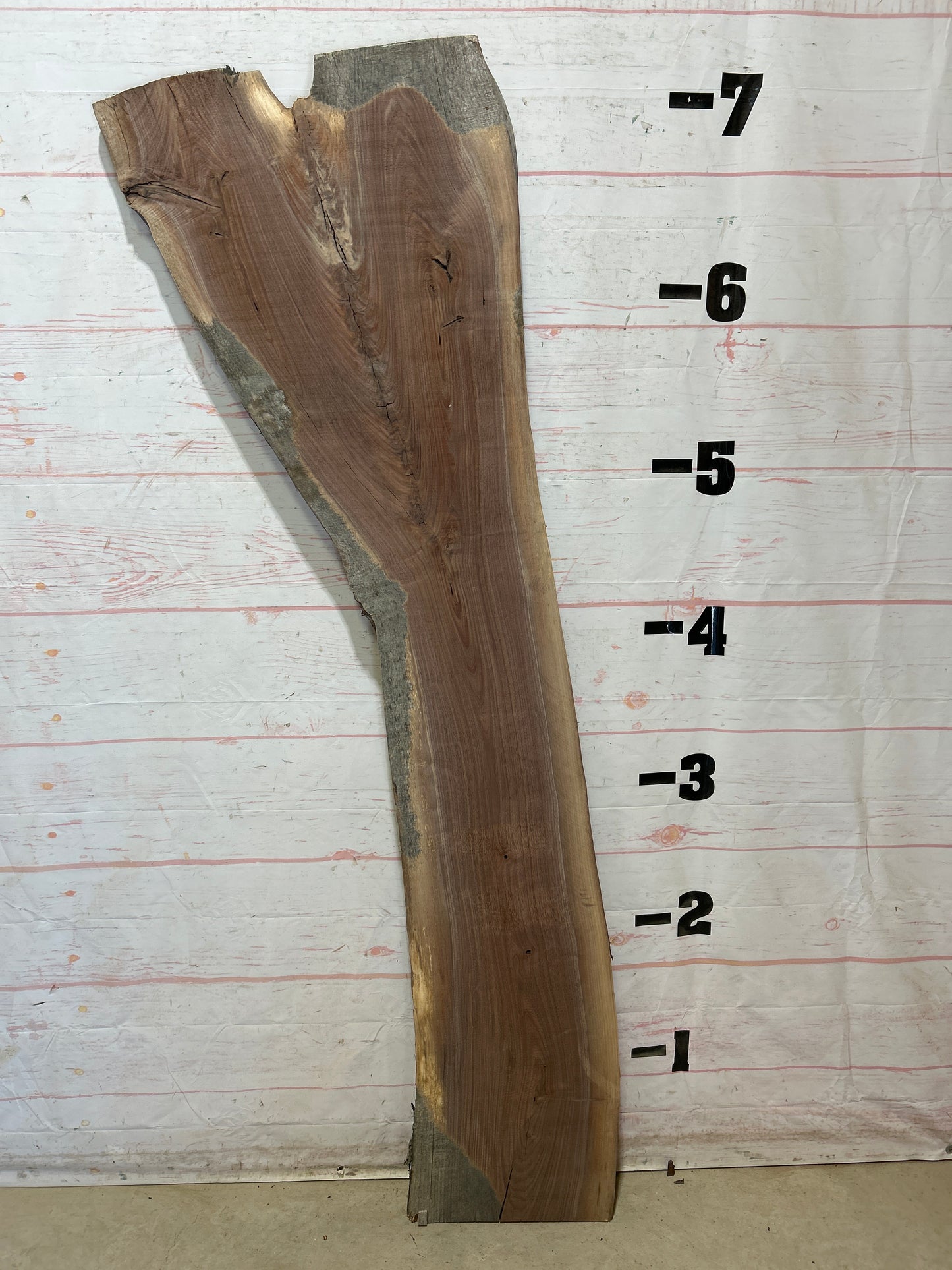 Live Edge Walnut Sku#27862M-25